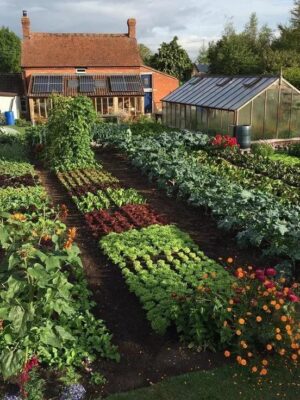 Сад и огород