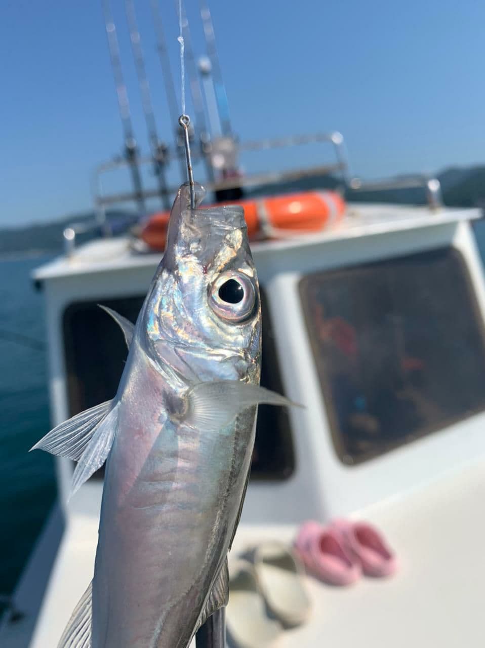 Рыбалка на катере