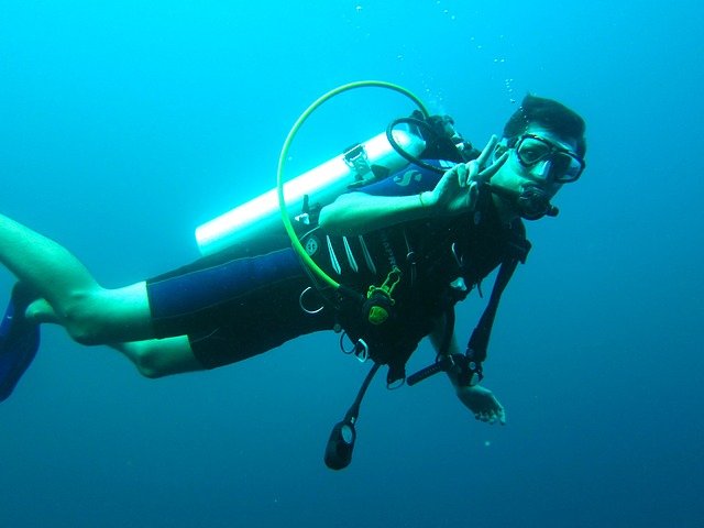 scuba-diver-261577_640 Дайвинг в Красной поляне