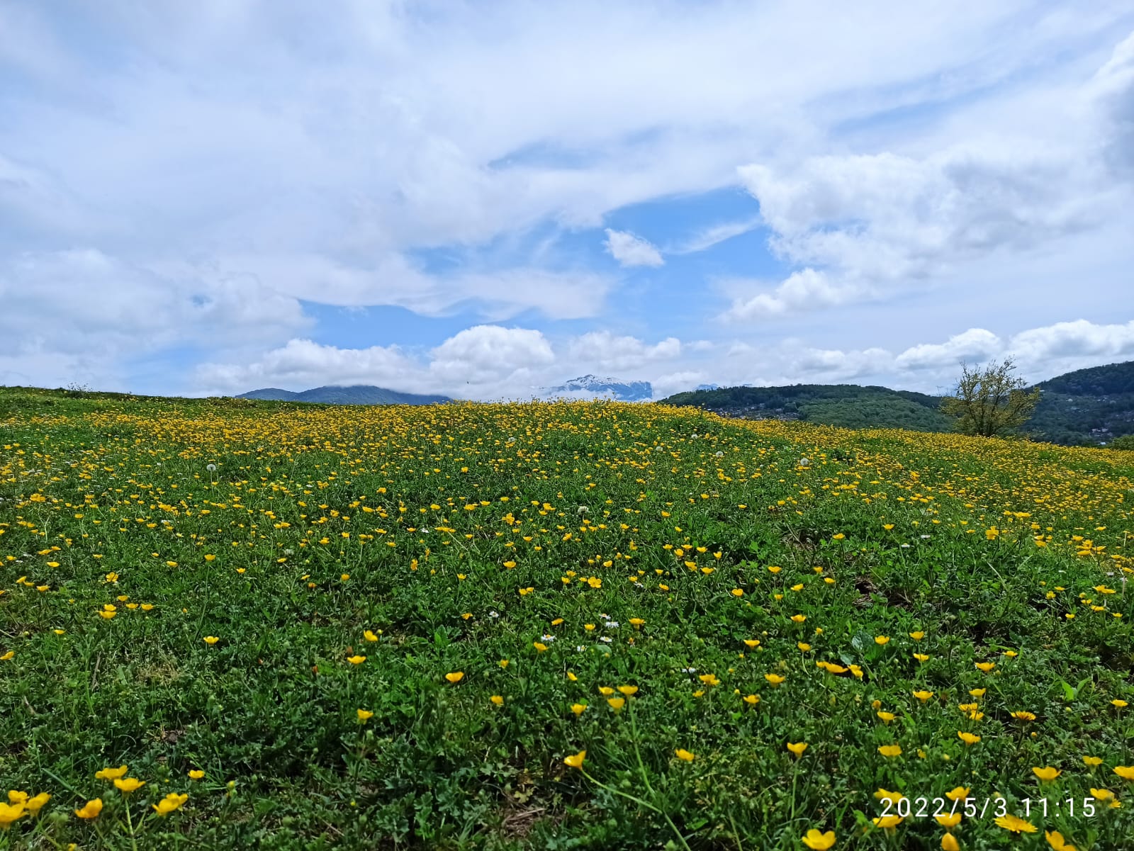 Виды конные прогулки Сухой Каньон Красная поляна