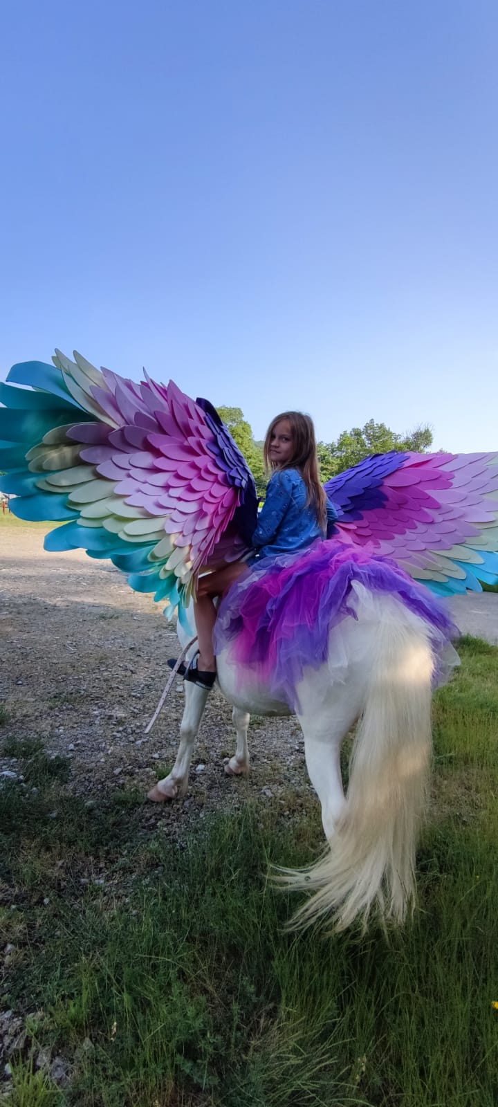 Фотосессия с пони 1687370223916