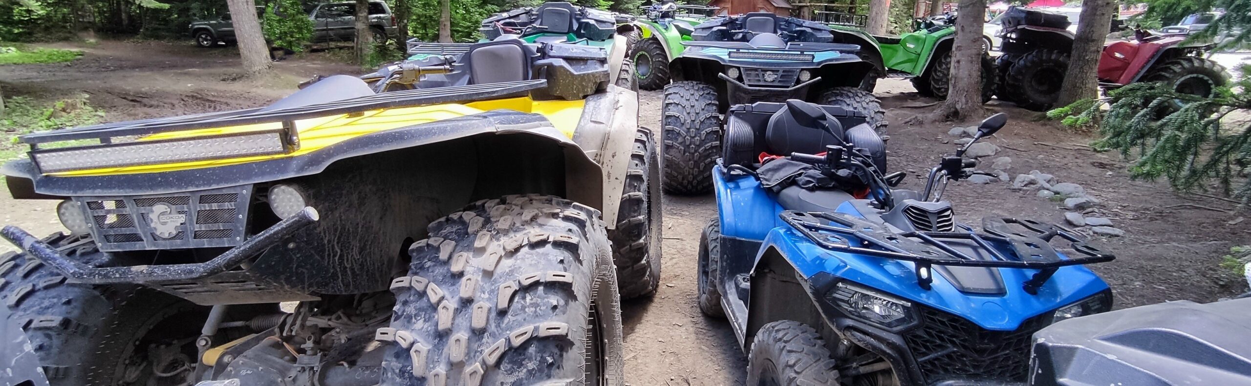 QuadroDrive!