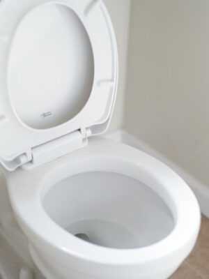 Монтаж инсталляции унитаза под ключ Монтаж инсталляции унитаза под ключ